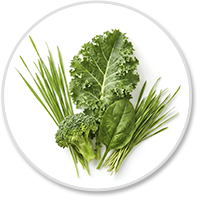 Super Greens Alkalizing Blend